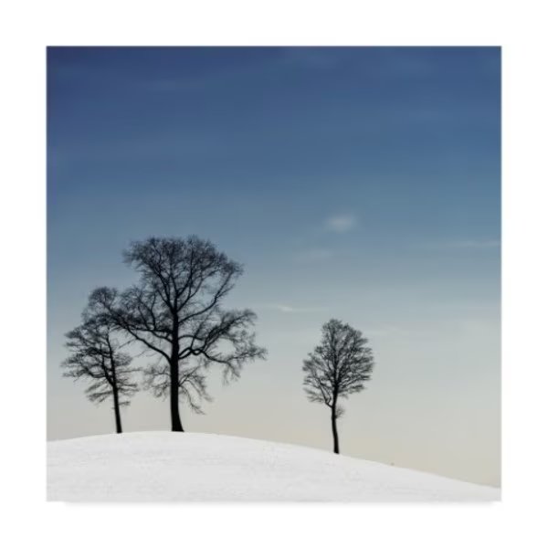 Piet Flour 'Winter Haiku' Canvas Art, 35x35, Trademark Fine Art, Mfr#: 1X04529-C3535GG
